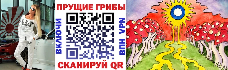 как найти   Курган  Псилоцибиновые грибы мухоморы 