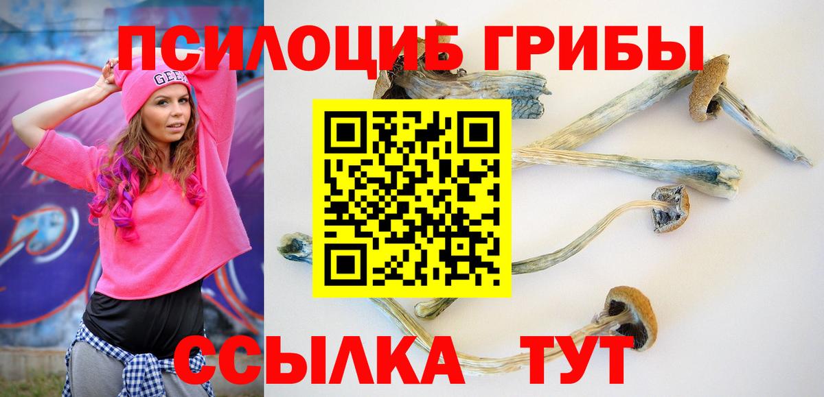 Псилоцибиновые грибы Cubensis Курган