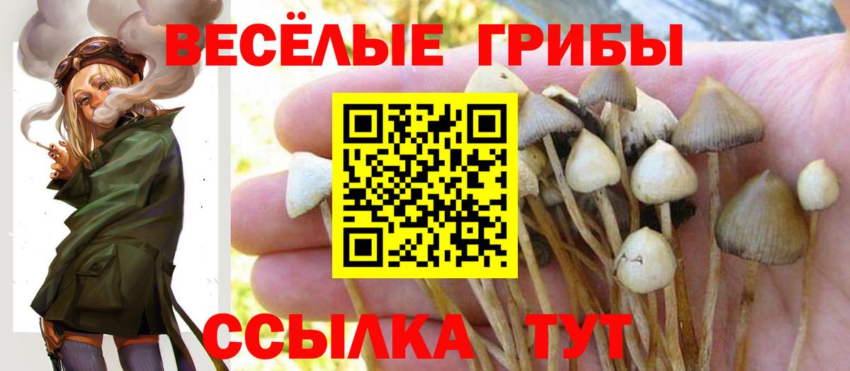 Гашиш Курган